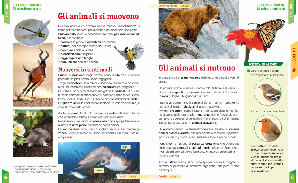 Sussidiario delle discipline 4 - GAIA